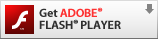 Download and install Flash Player now.